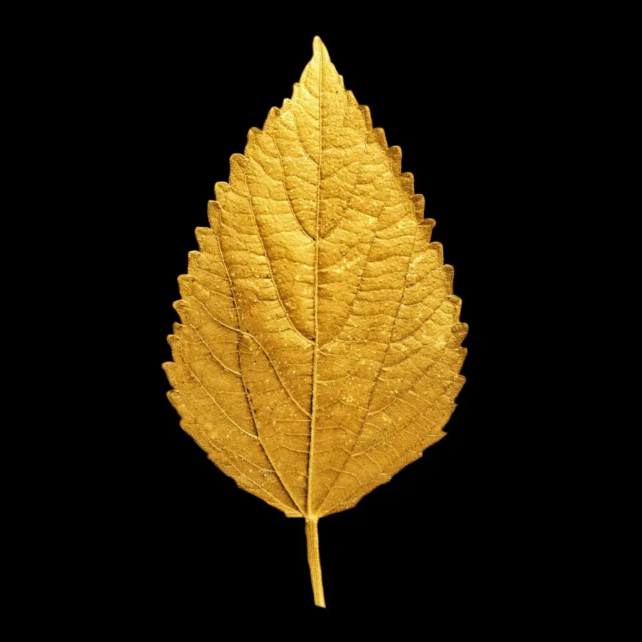 Gold leaf